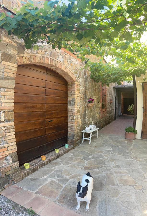 Depandance Sophia Apartment Montalcino Exterior foto